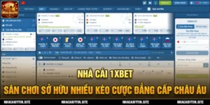 ảnh nền 1xbet