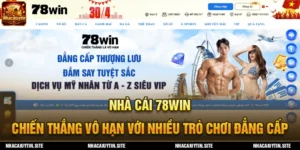 ảnh nền 78win