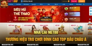 ảnh nền net88