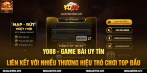 ảnh nền yo88
